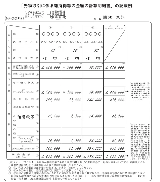 FX 確定申告 記載